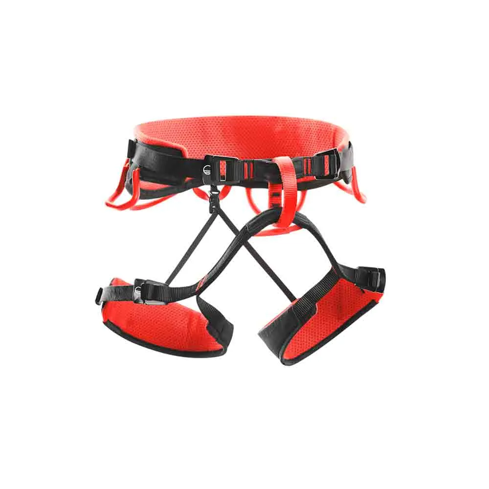 安全帶 Harness Syncro Black/Red