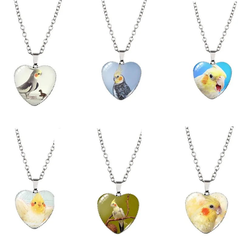 Cockatiel necklace packs