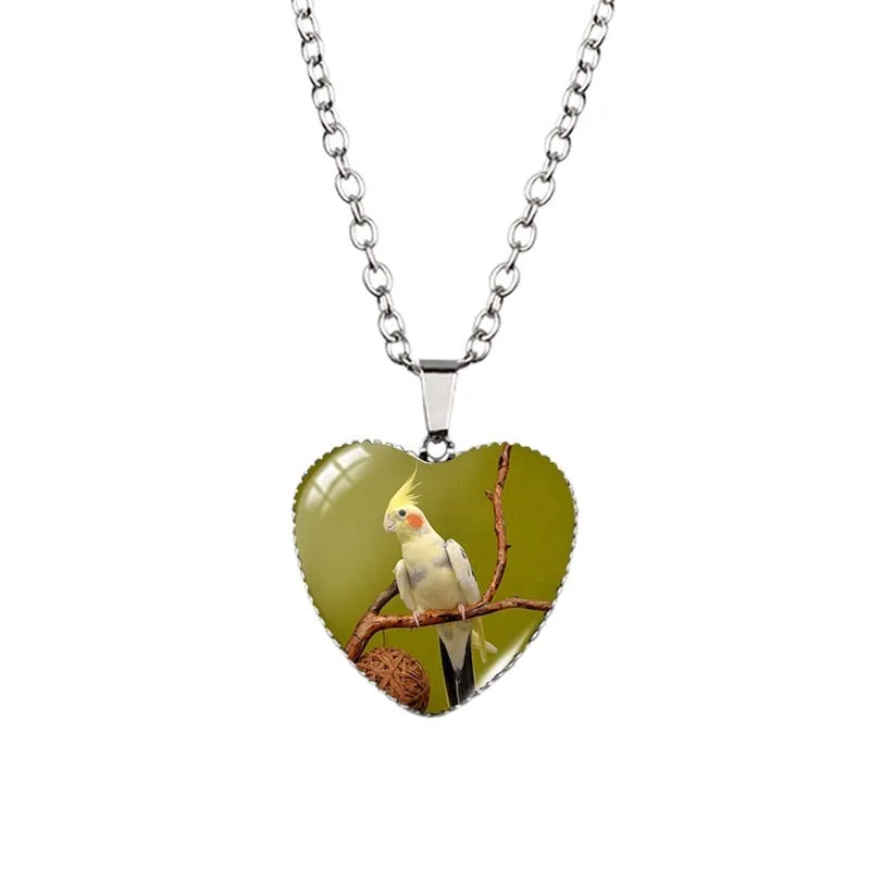 Cockatiel necklace packs