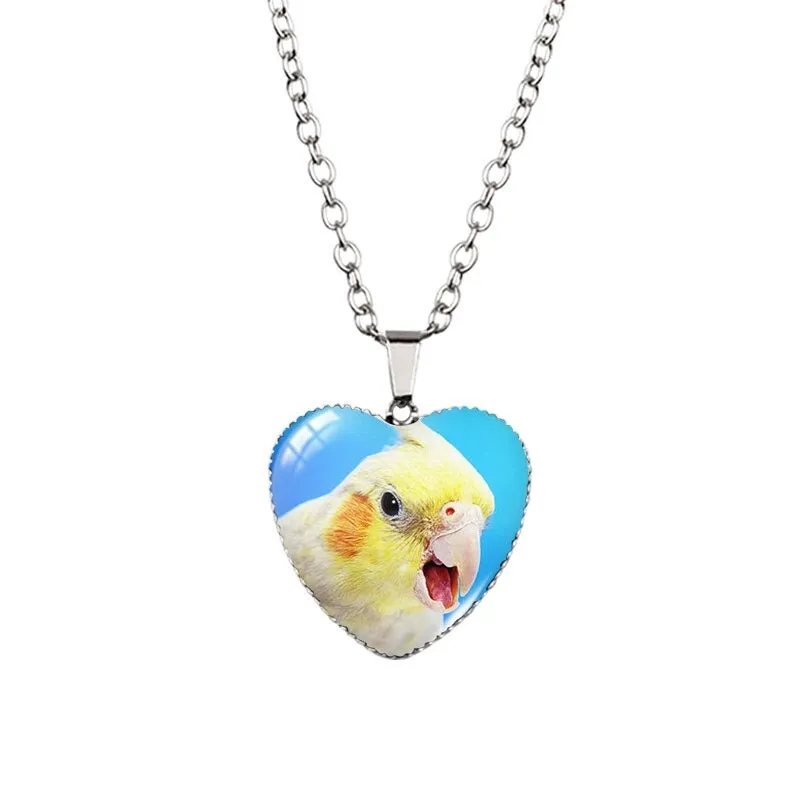 Cockatiel necklace packs