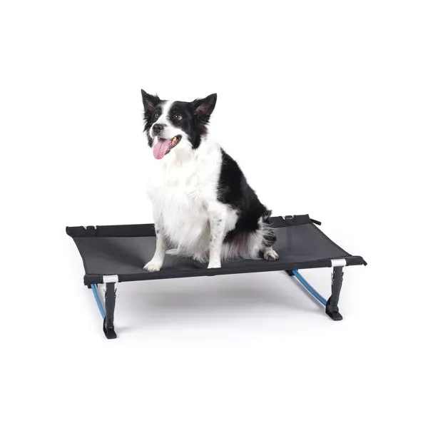 Elevated Dog Cot