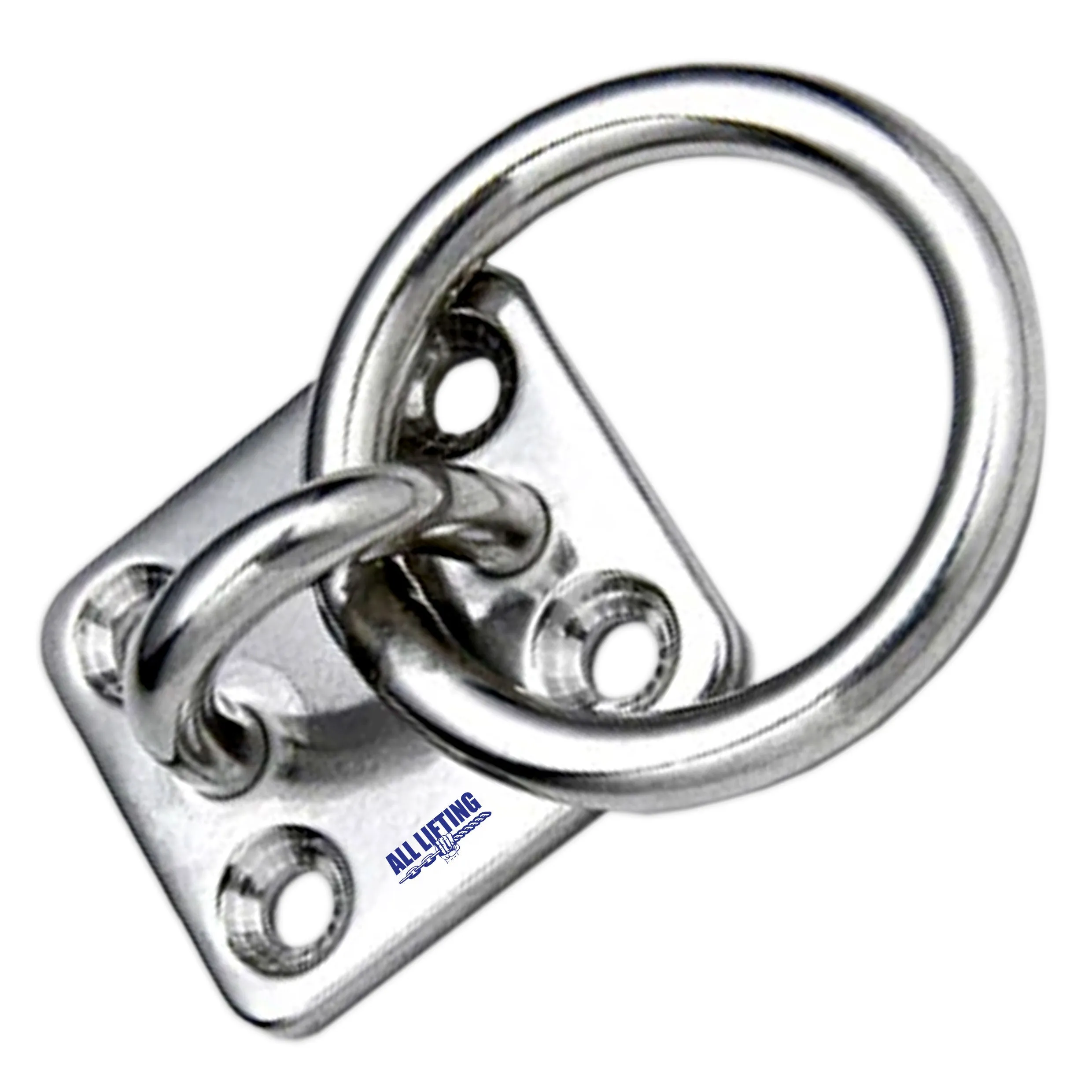 Stainless Steel Eye Plate with Ring